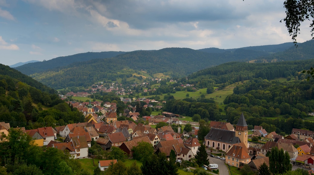 Blick auf Muhlbach-sur-Munster im Elsass