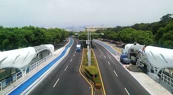 Longjing