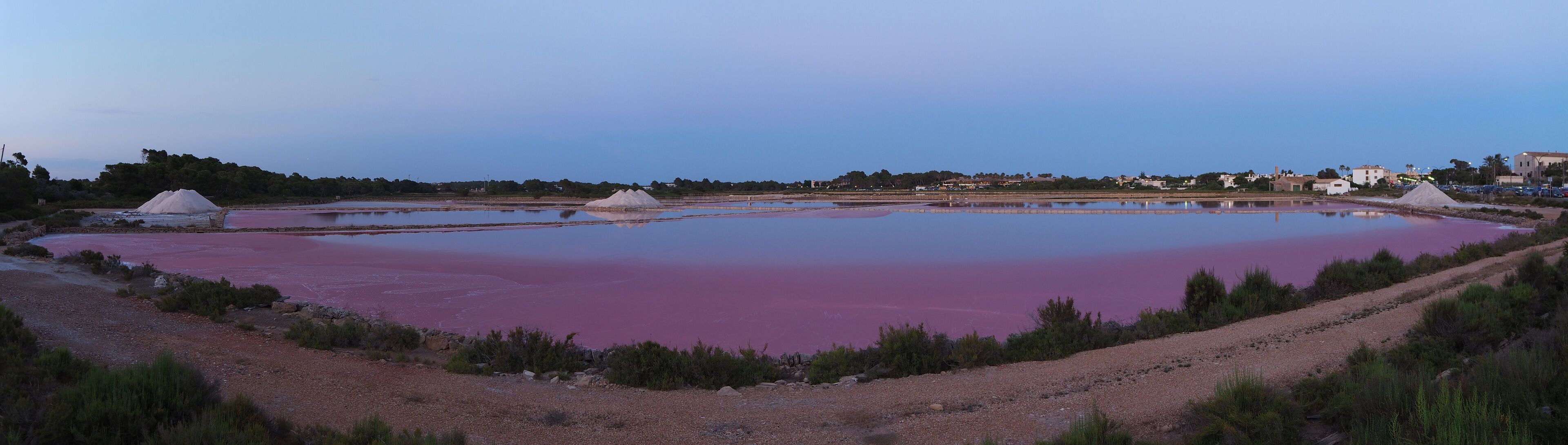 Sant Jordi de Ses Salines
