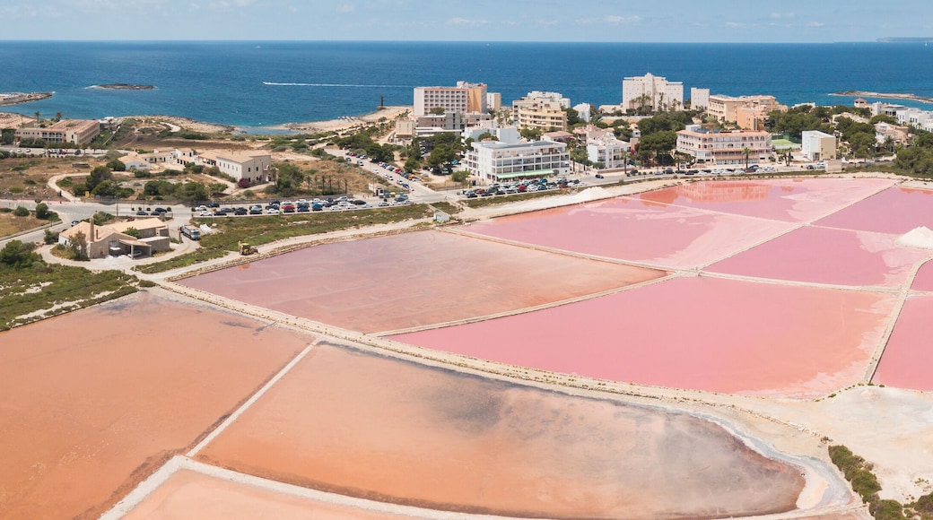 Sant Jordi de Ses Salines