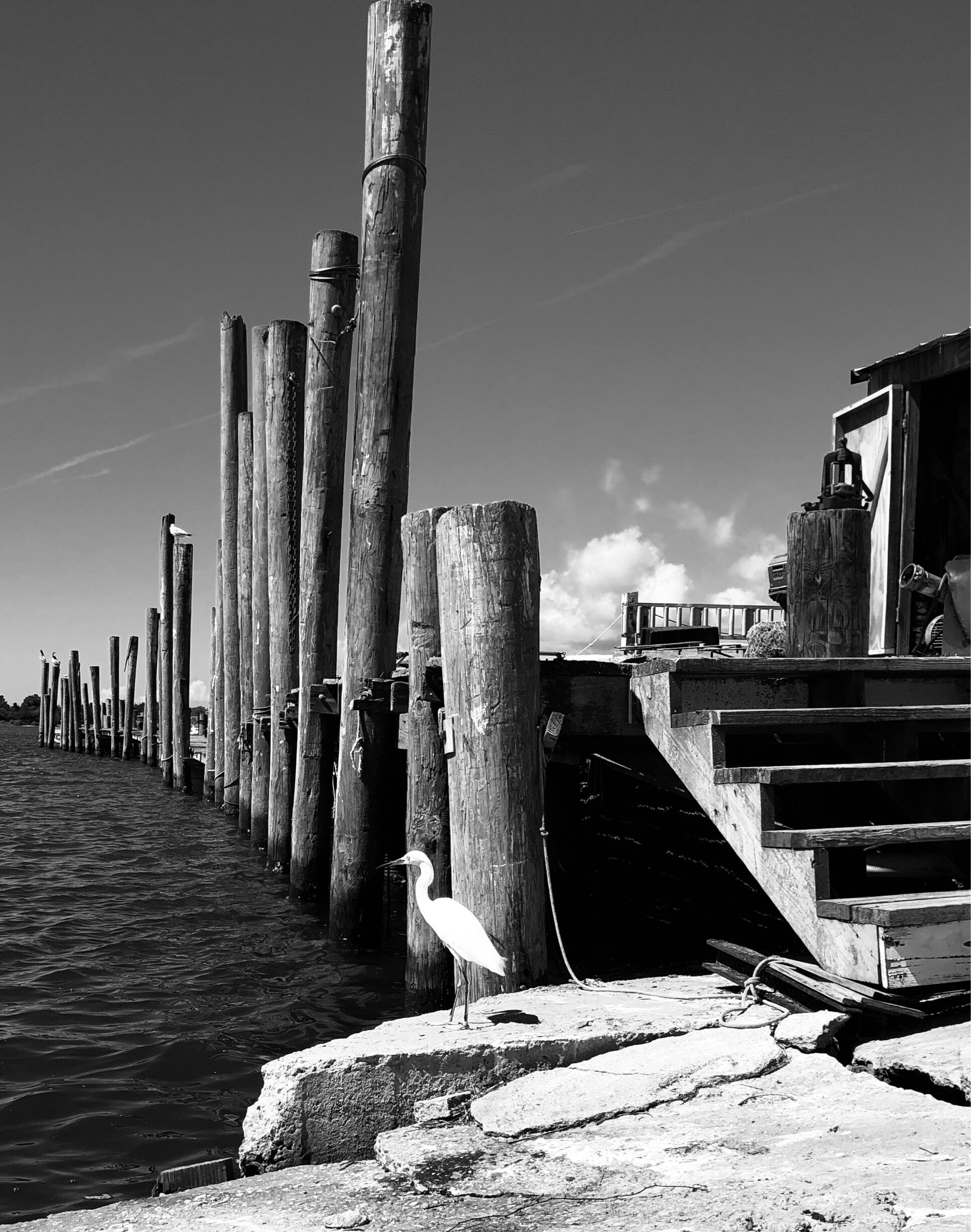Cool pier out behind the market