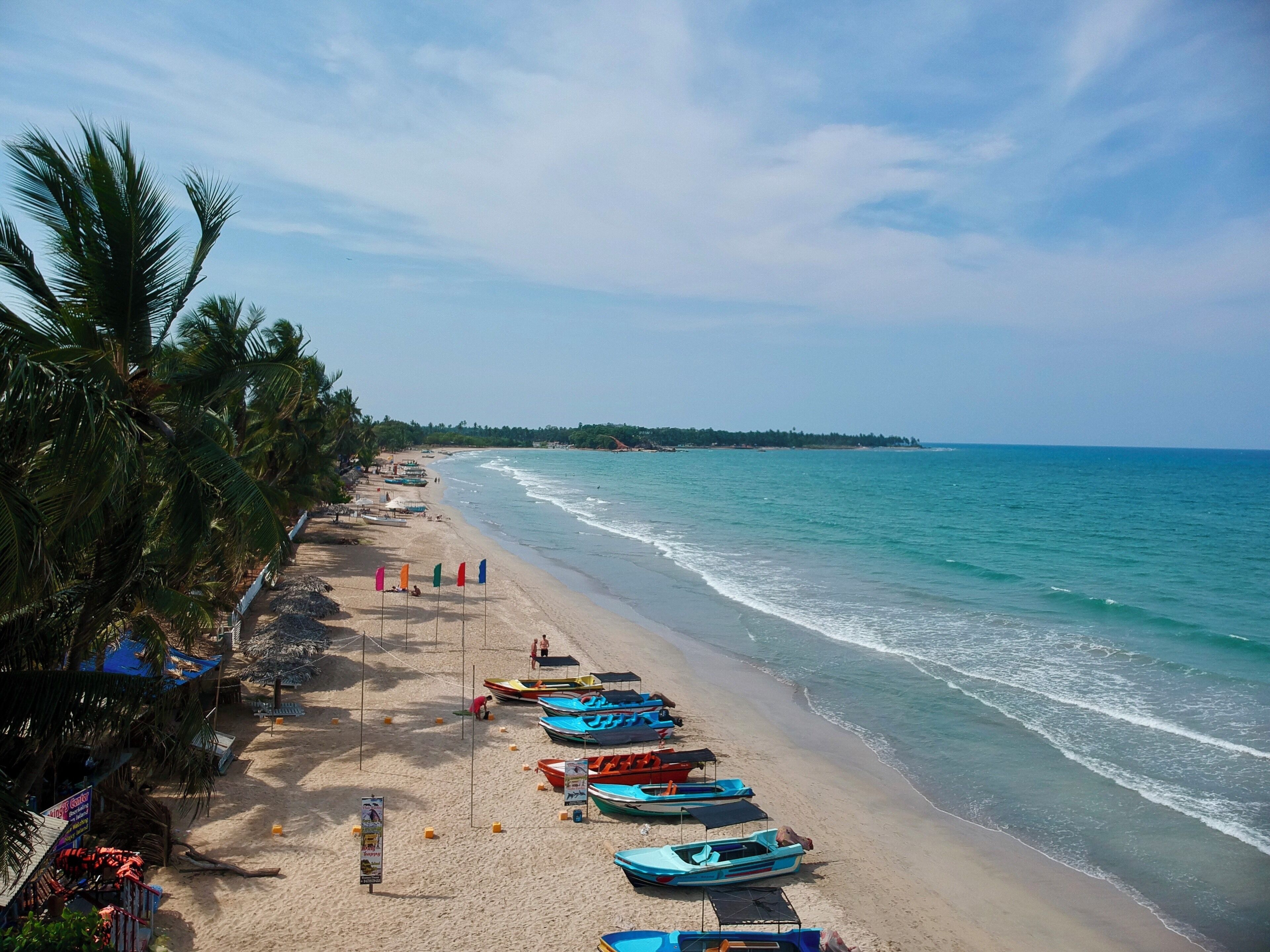 A beach with rows of colorful boats, palm trees, and a clear blue sky.