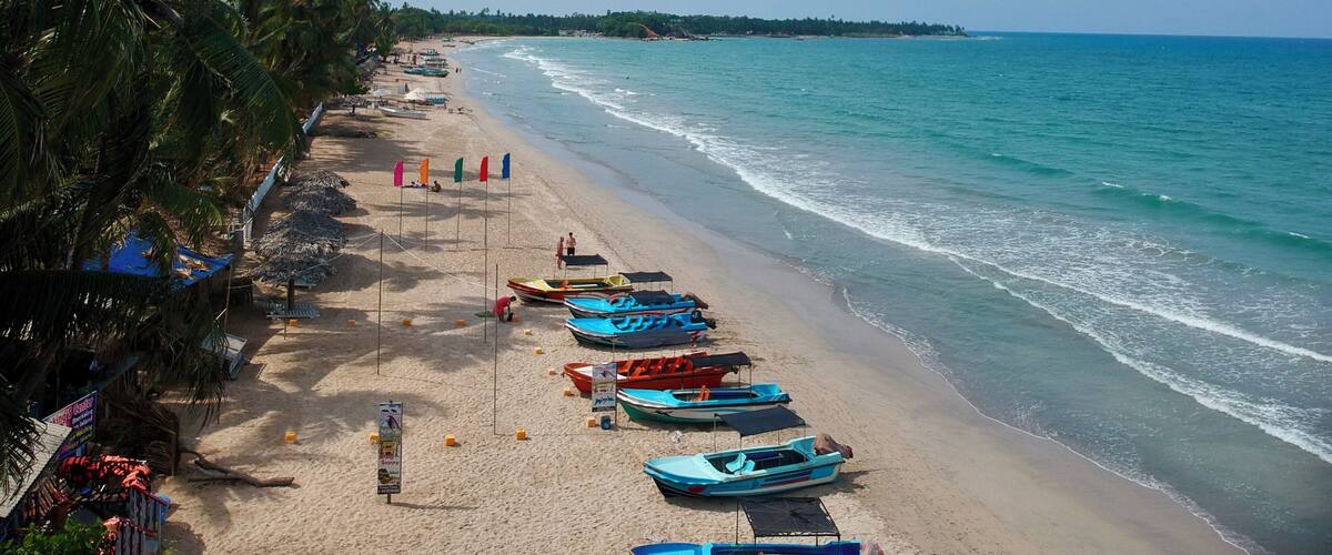 A beach with rows of colorful boats, palm trees, and a clear blue sky.