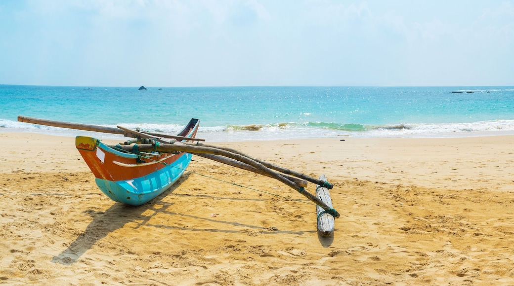 Panorama with a boat and temple