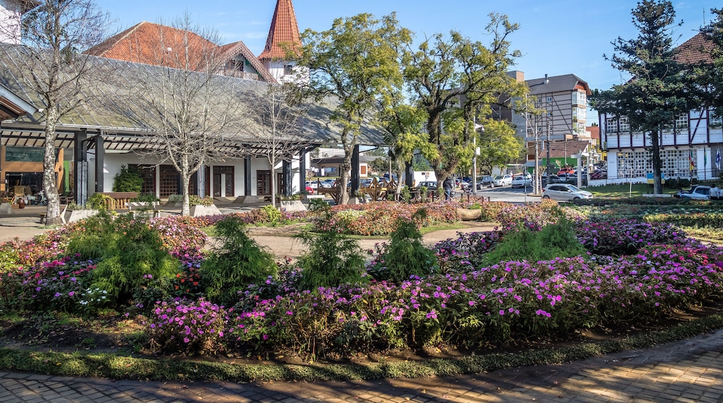 ノーヴァ ペトローポリス