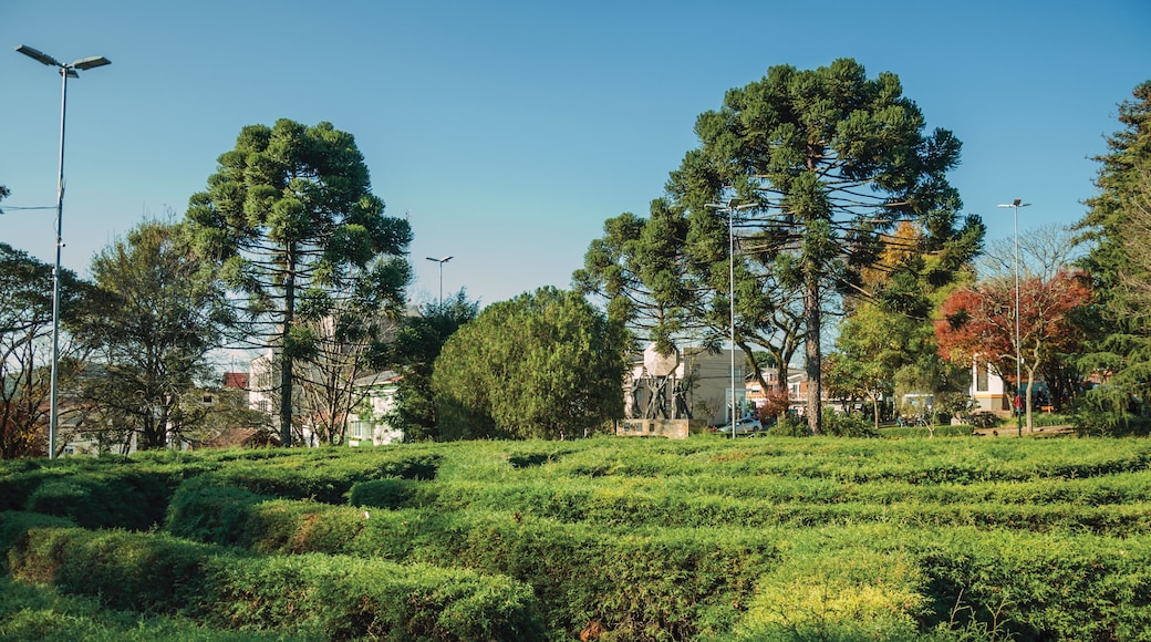 ノーヴァ ペトローポリス