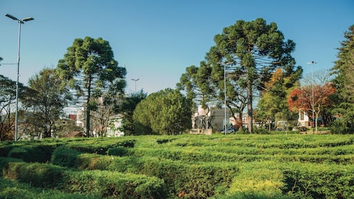 نوفا بيتروبوليش