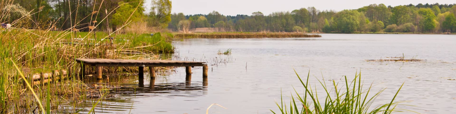 Neuendorfer See im Unterspreewald in Brandenburg, Deutschland, Lake in Brandenburg, Germany