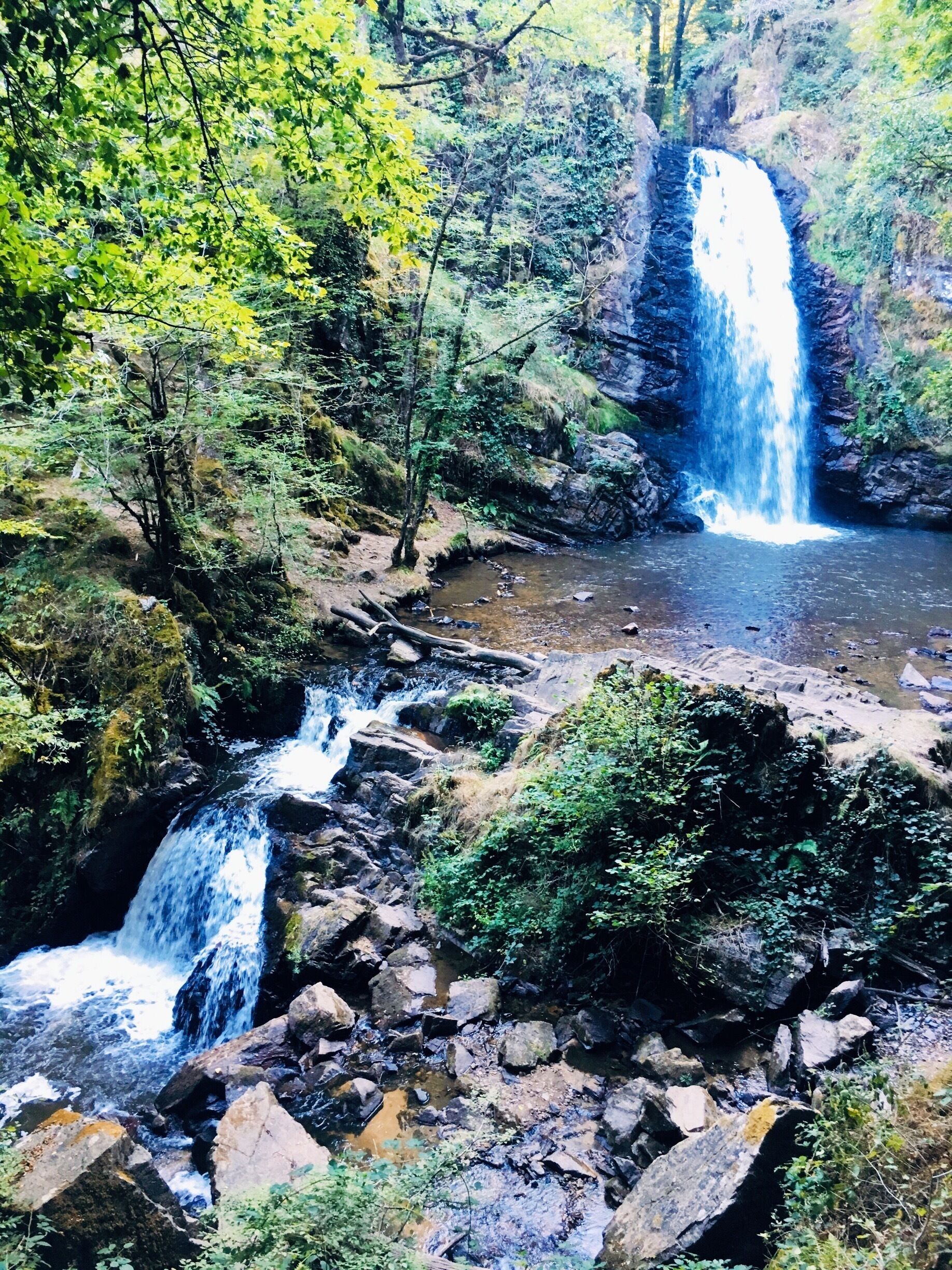 A waterfall cascading over rocks in a forested area.