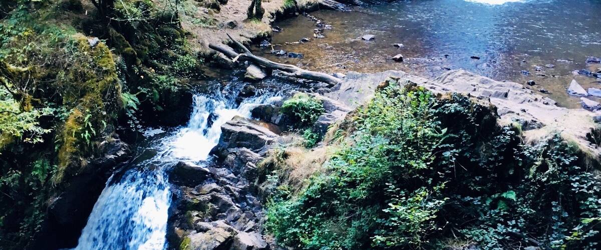 A waterfall cascading over rocks in a forested area.