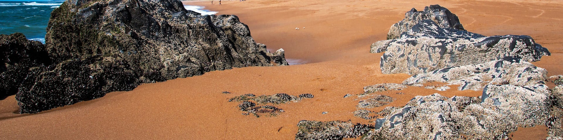 Empty Rocky Beach Against City Skyline and Blue Sky