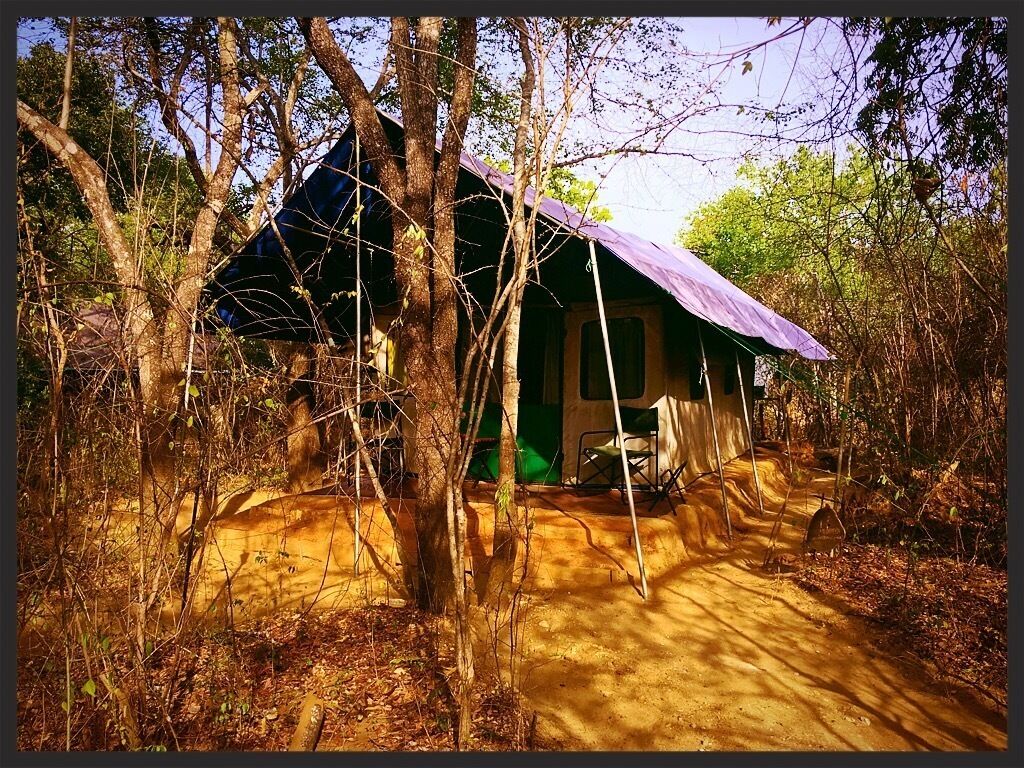 5 stars hotel.
Yala Np, Sri Lanka 