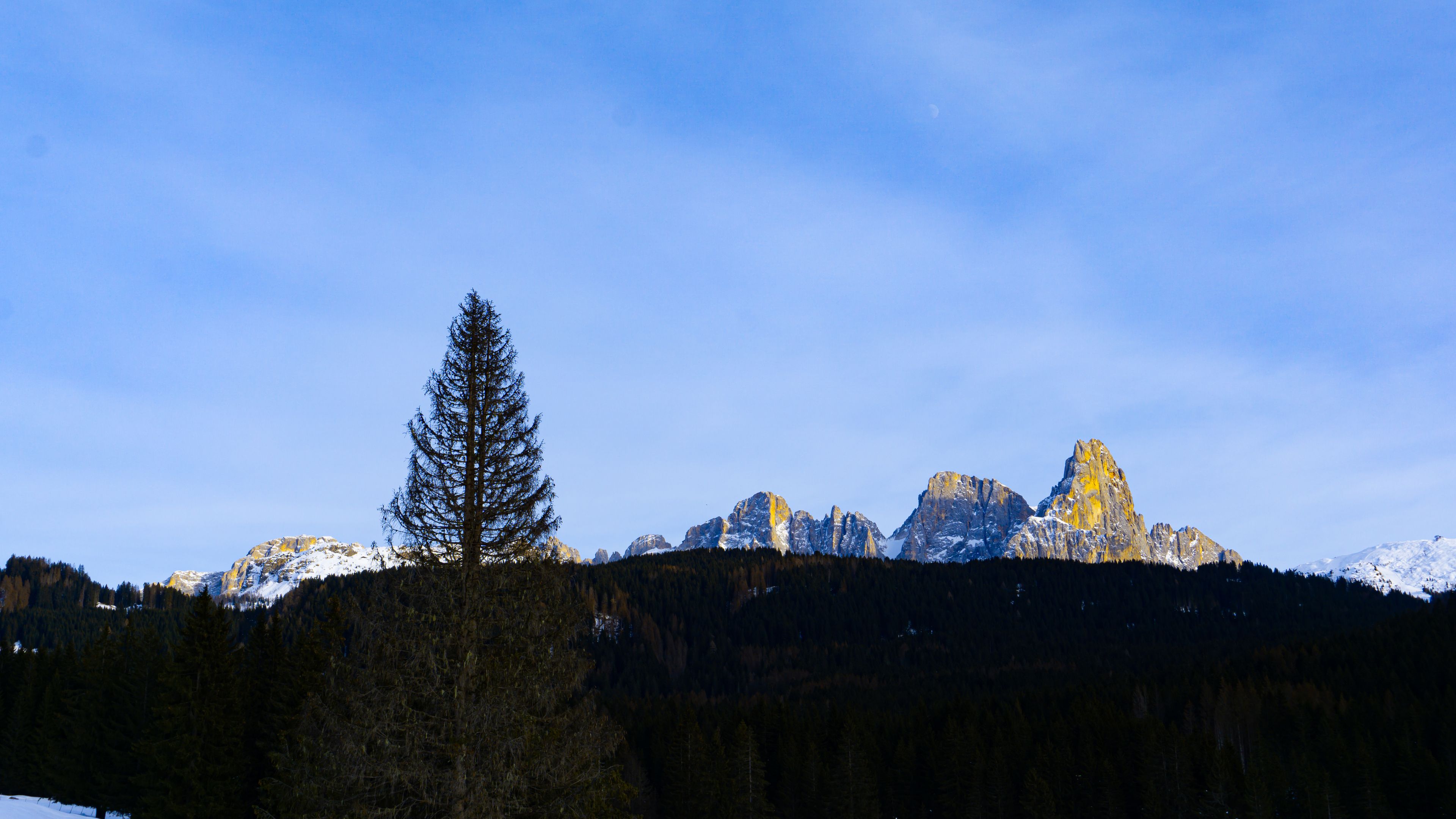 Winter in the mountains