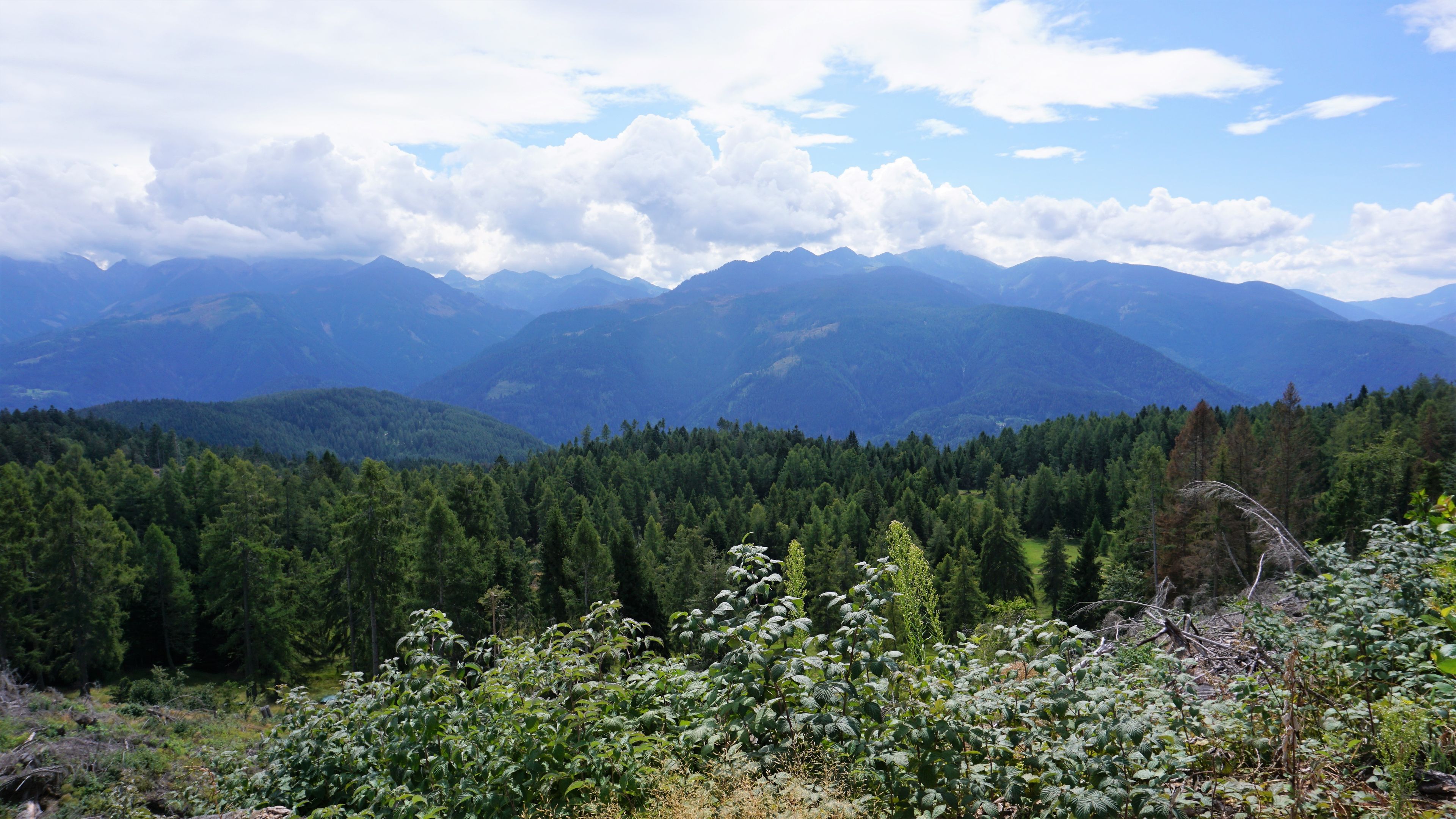 A mountainous landscape with dense forests and a clear sky.