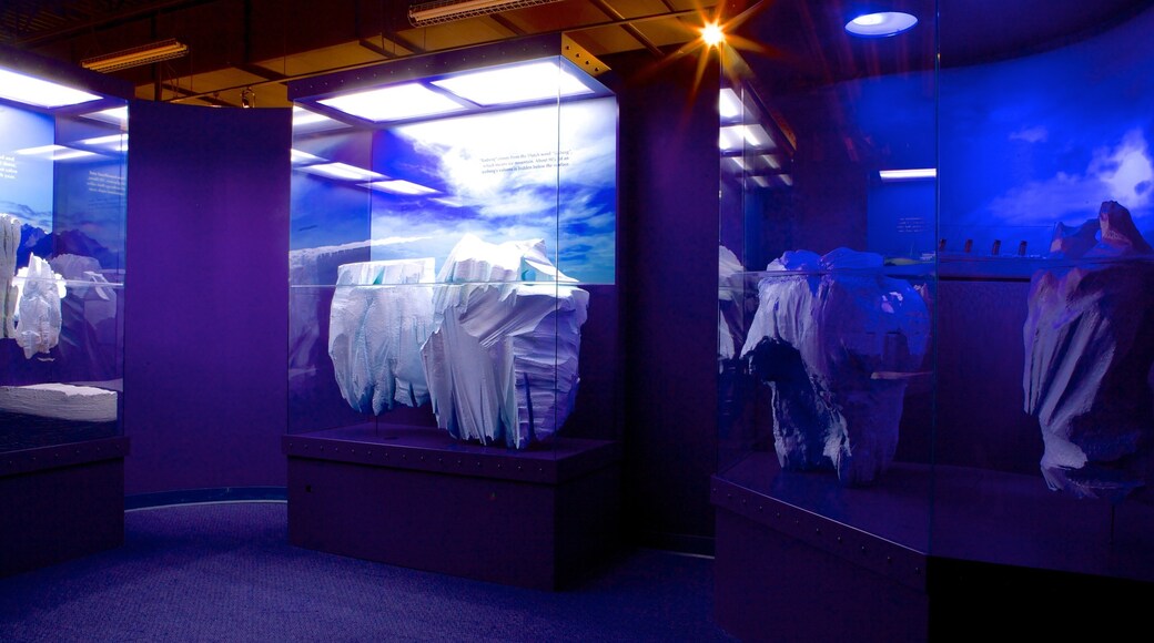 Johnson Geo Centre che include vista interna