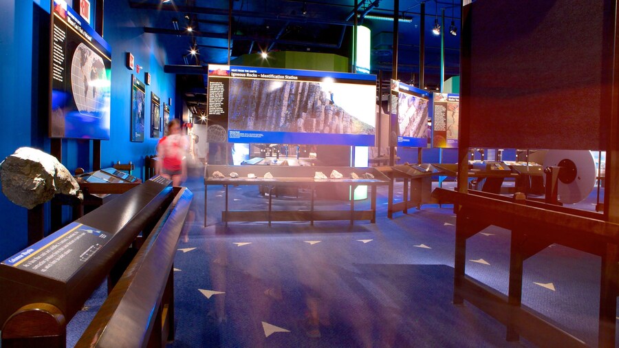 Trung tâm Johnson Geo có tính năng cảnh nội thất