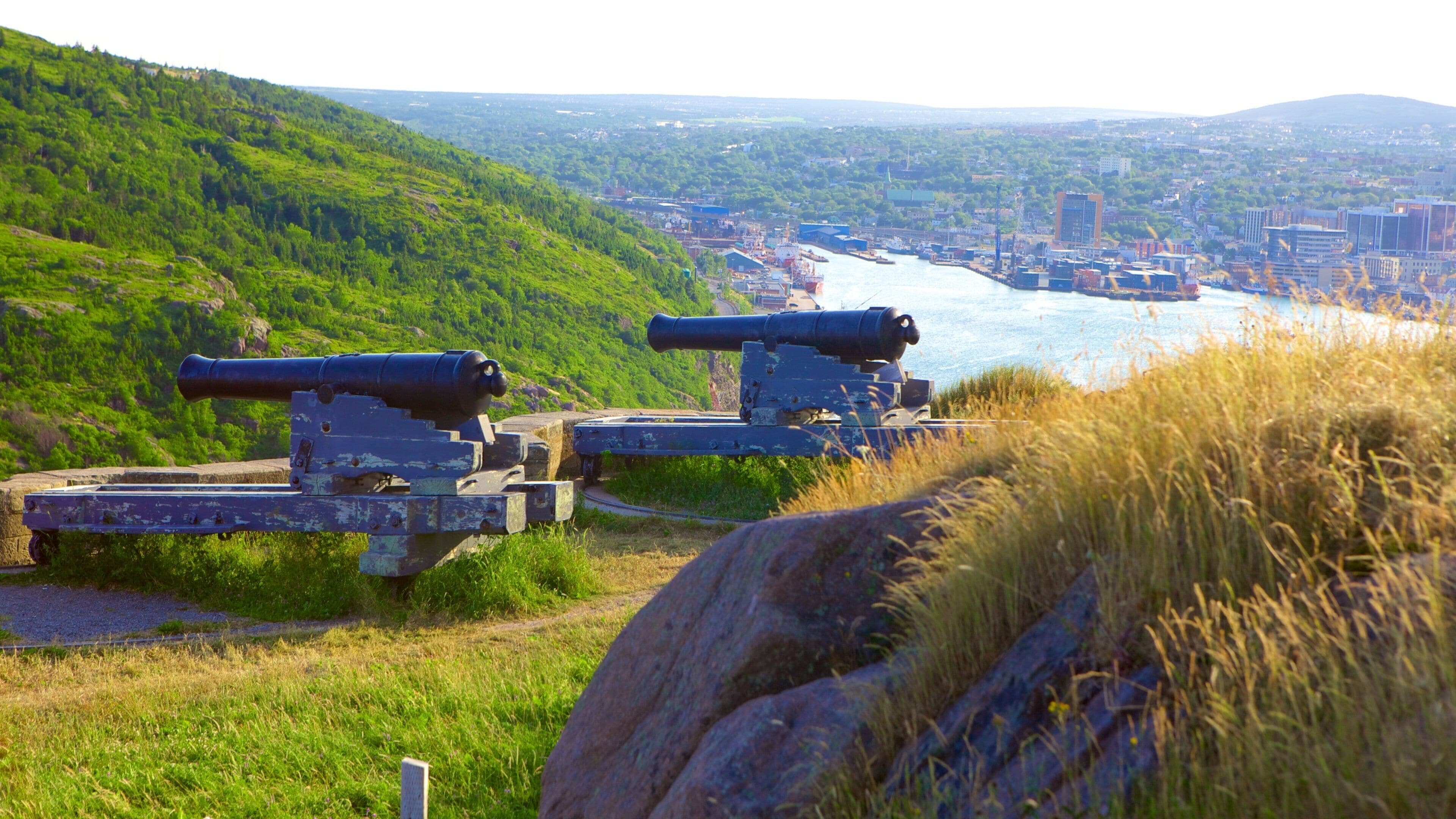 Two cannons on a grassy hill overlooking a river with a cityscape in the distance.
