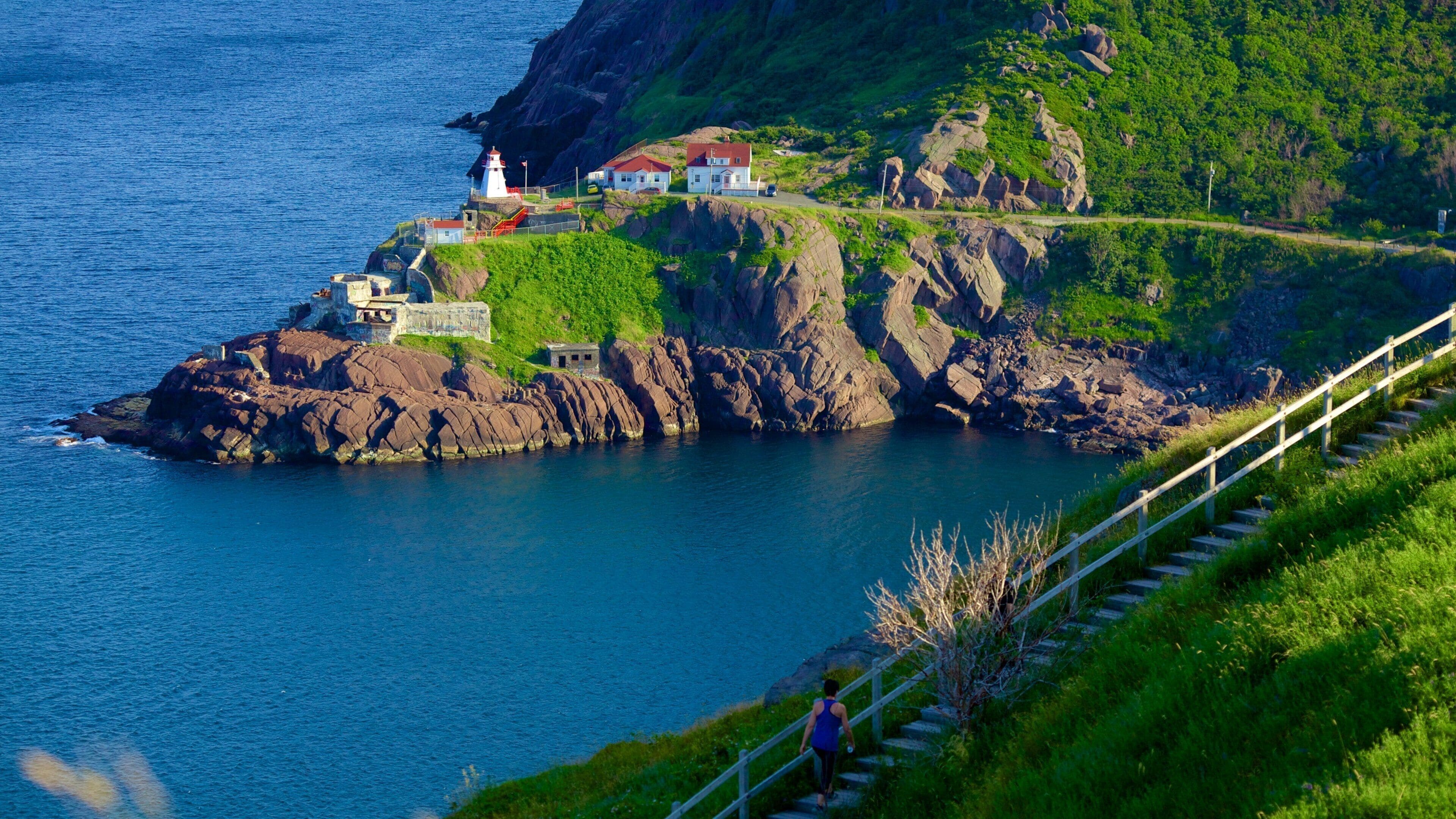 Signal Hill featuring rugged coastline and general coastal views