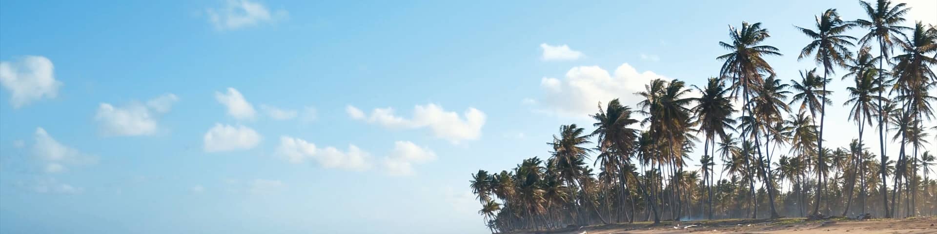 Sunset on the Atlantic Ocean. Waves breaking on stones. Beautiful wild beach on a tropical island. High palm trees on the sandy shore. Amazing summer travel vacation background