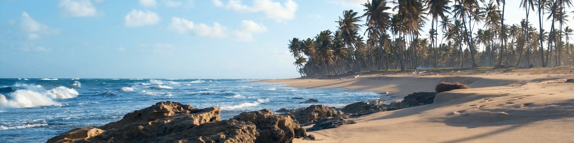 Sunset on the Atlantic Ocean. Waves breaking on stones. Beautiful wild beach on a tropical island. High palm trees on the sandy shore. Amazing summer travel vacation background