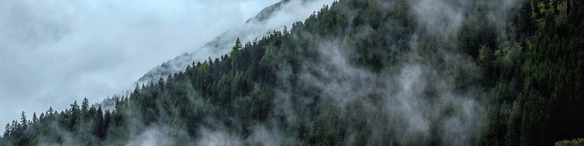 It was very moody, misty and it was getting dark and I enjoyed the scenery!
#adventure