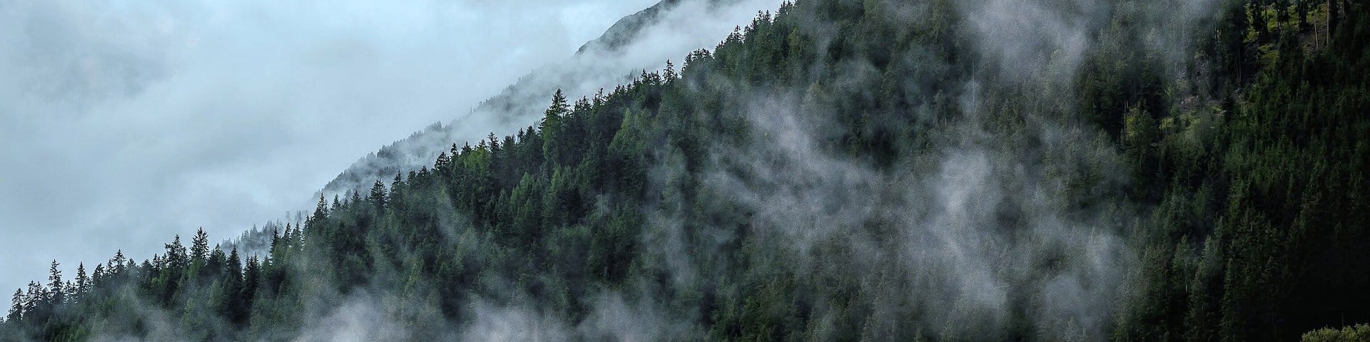 It was very moody, misty and it was getting dark and I enjoyed the scenery!
#adventure