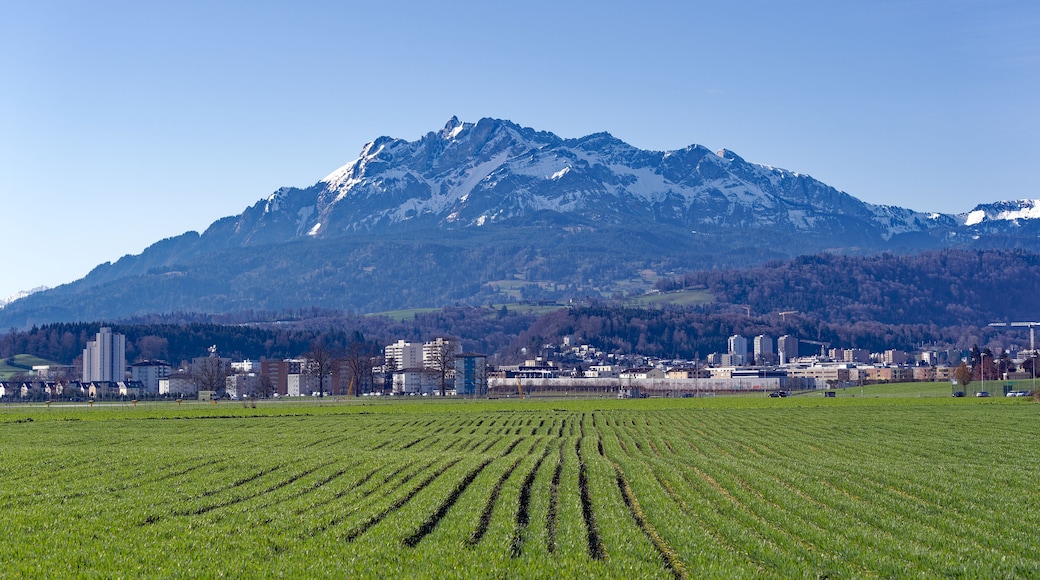 Scenic landscape and Swiss Alps with agriculture field and mount Pilatus seen from City of Emmen, Canton Lucerne, on a sunny spring day. Photo taken March 22nd, 2023, Emmen, Switzerland.
