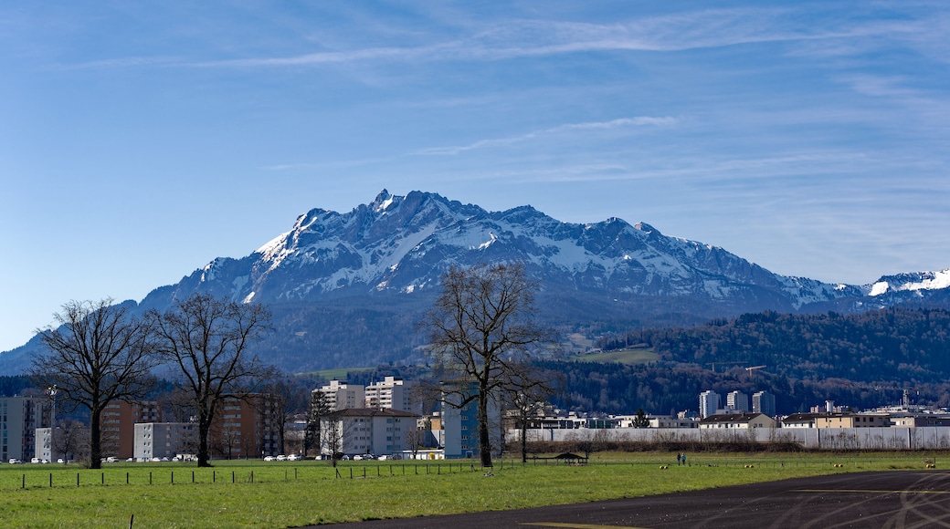 Scenic landscape and Swiss Alps with mount Pilatus seen from City of Emmen, Canton Lucerne, on a sunny spring day. Photo taken March 22nd, 2023, Emmen, Switzerland.