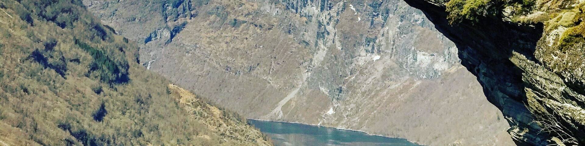 High above it all #Trovember