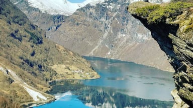 High above it all #Trovember