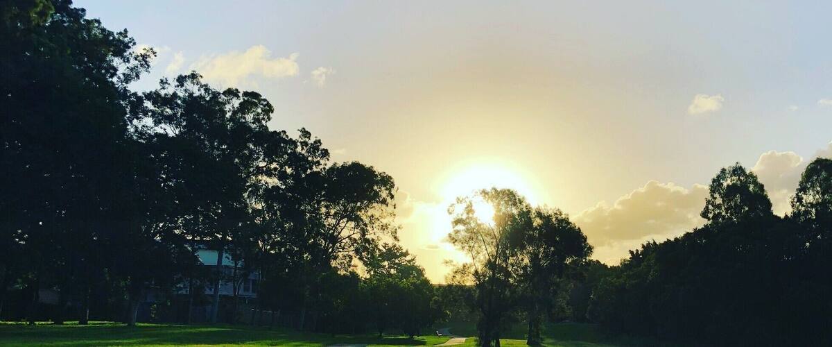 Just a sunday afternoon stroll in the local park! The little green speck appeared because ths was shot directly into a light source :) #LifeAtExpedia #green