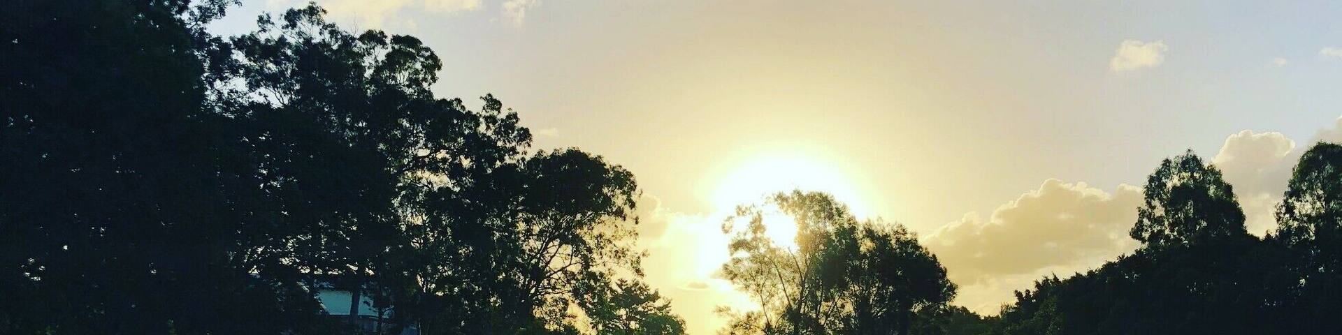 Just a sunday afternoon stroll in the local park! The little green speck appeared because ths was shot directly into a light source :) #LifeAtExpedia #green