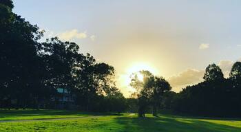 Just a sunday afternoon stroll in the local park! The little green speck appeared because ths was shot directly into a light source :) #LifeAtExpedia #green