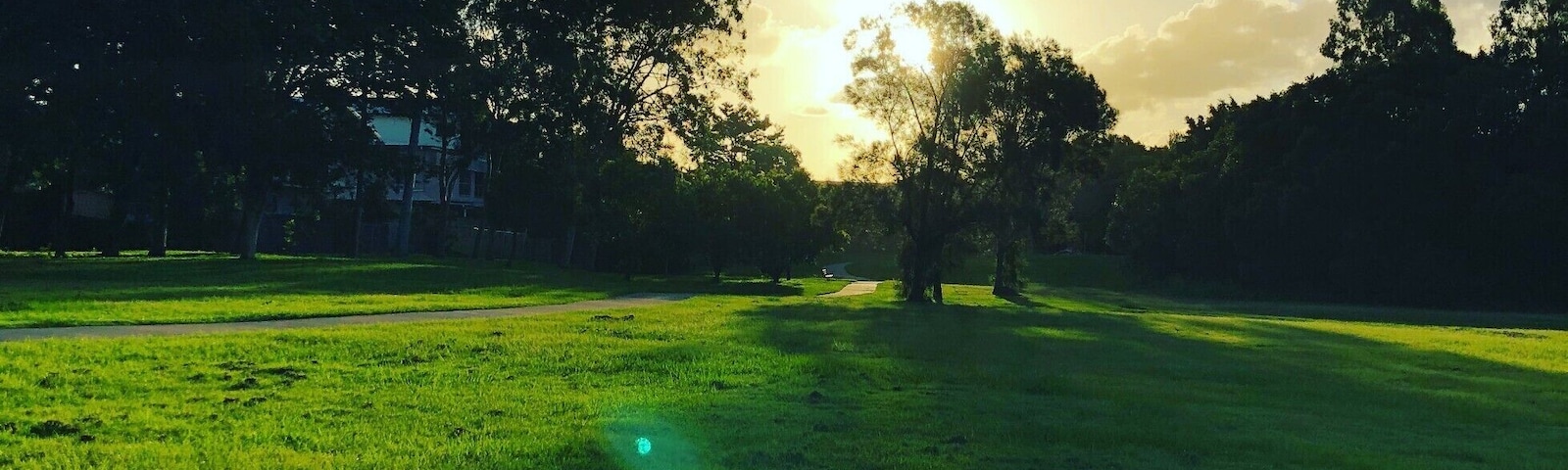 Just a sunday afternoon stroll in the local park! The little green speck appeared because ths was shot directly into a light source :) #LifeAtExpedia #green