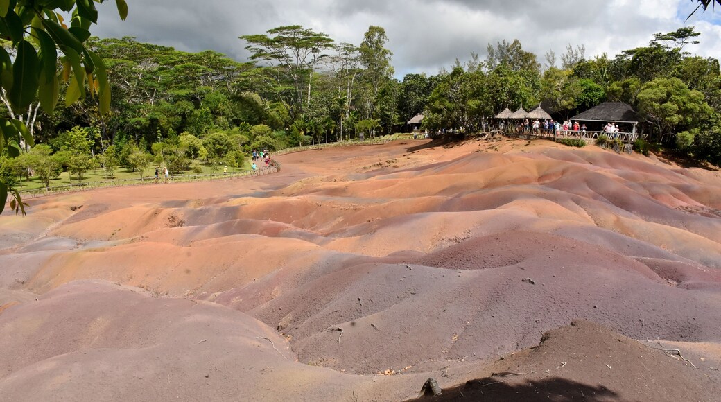 The Seven Coloured Earths are a geological formation and prominent tourist attraction found in the Chamarel plain of the RiviĂšre Noire District in south-western Mauritius. It is a relatively small area of sand dunes comprising sand of seven distinct colours (approximately red, brown, violet, green, blue, purple and yellow). The main feature of the place is that since these differently coloured sands spontaneously settle in different layers, dunes acquire a surrealistic, striped colouring. Since the earth was first exposed, rains have carved beautiful patterns into the hillside, creating an effect of earthen meringue