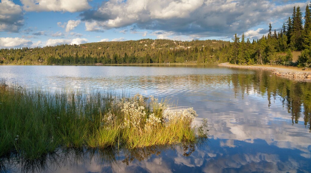 Lake in Valdres