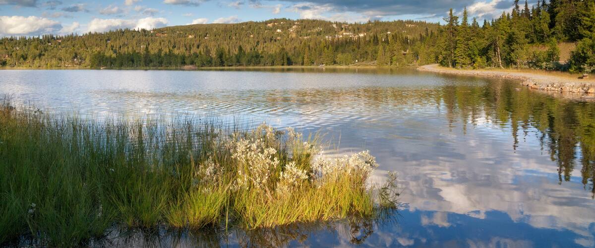 A calm lake surrounded by dense forests and a distant hill with scattered houses.
