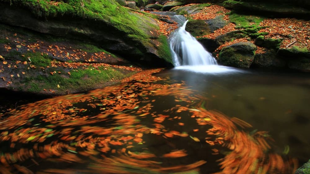 Some waterfalls in West part in Stara planina, Bulgaria.During the autumn.