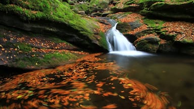 Some waterfalls in West part in Stara planina, Bulgaria.During the autumn.