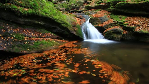 Some waterfalls in West part in Stara planina, Bulgaria.During the autumn.