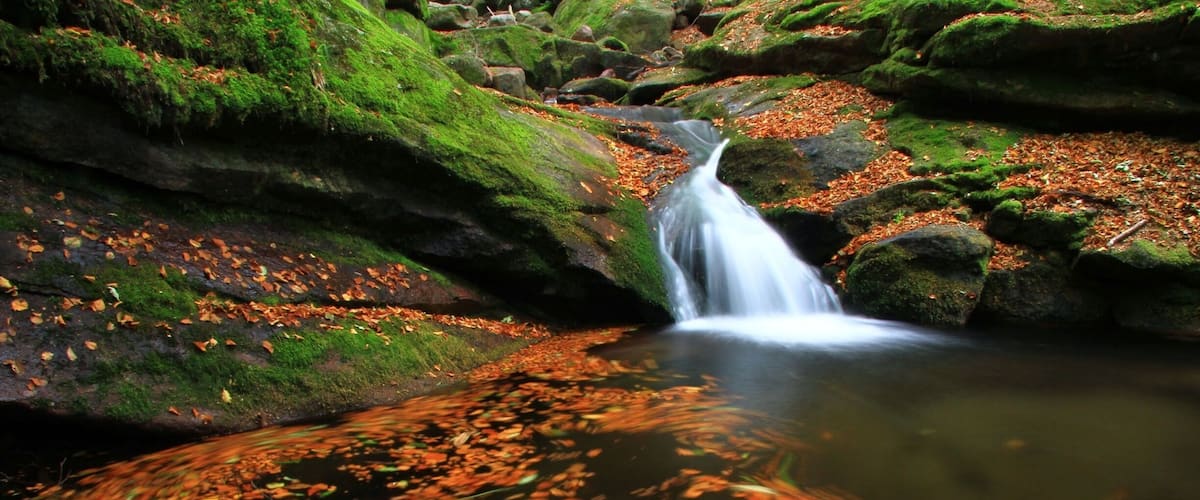 A waterfall flowing over moss-covered rocks in a forest with fallen leaves.