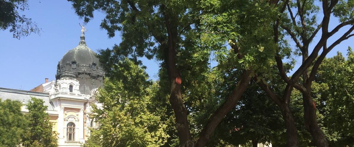 Fab little, lovely town southeast off Budapest. It's clean and quiet. Food is fab and cheap. People are nice and friendly đđđ»