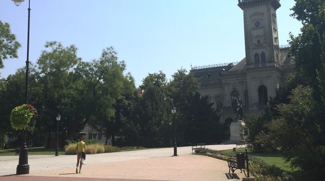 Town Hall in HĂłdmezĆvĂĄsĂĄrhely