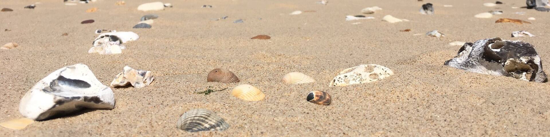 Beautiful beach where you can search for stones and shells. And have a look to Dover! #france#beach#nature#sangatte#lovely#shells