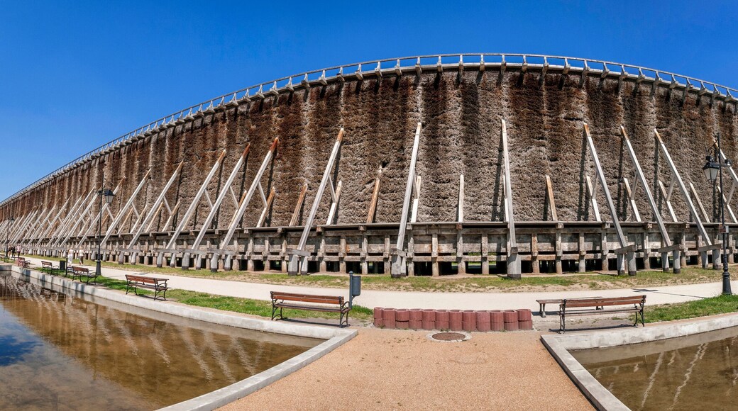 ์์์ฝ์๋คํฌ