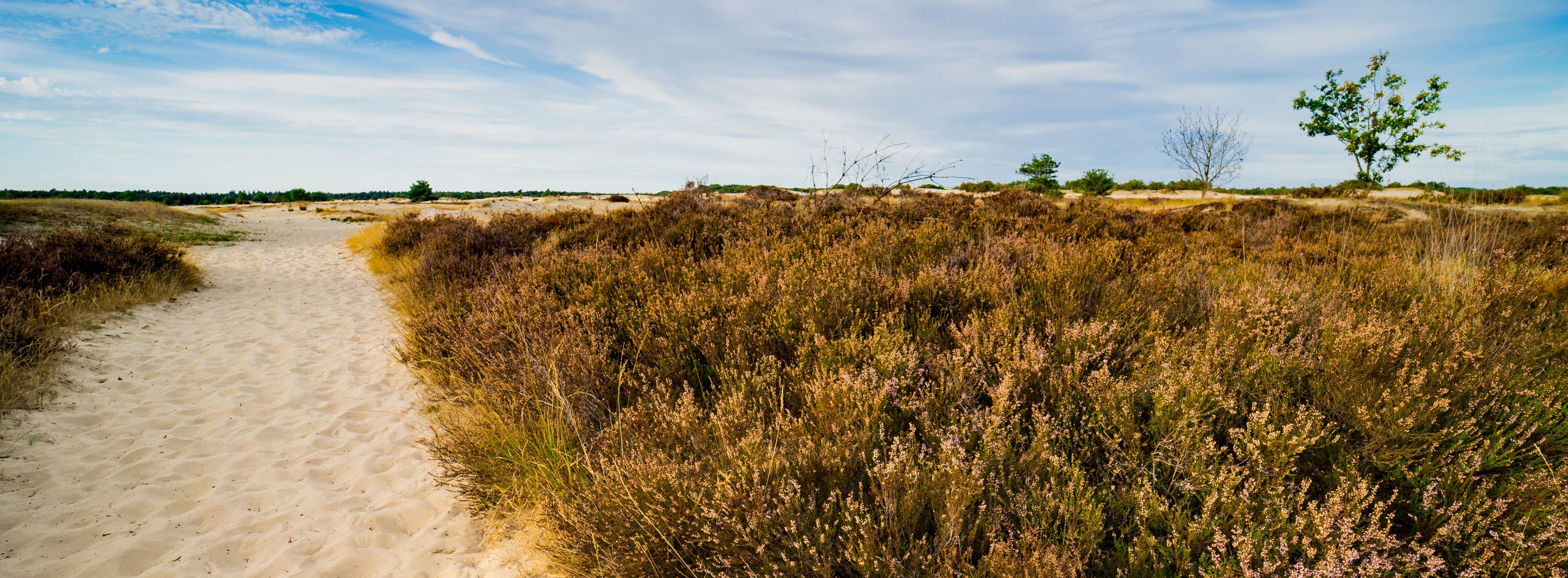 루프 오프 잰드