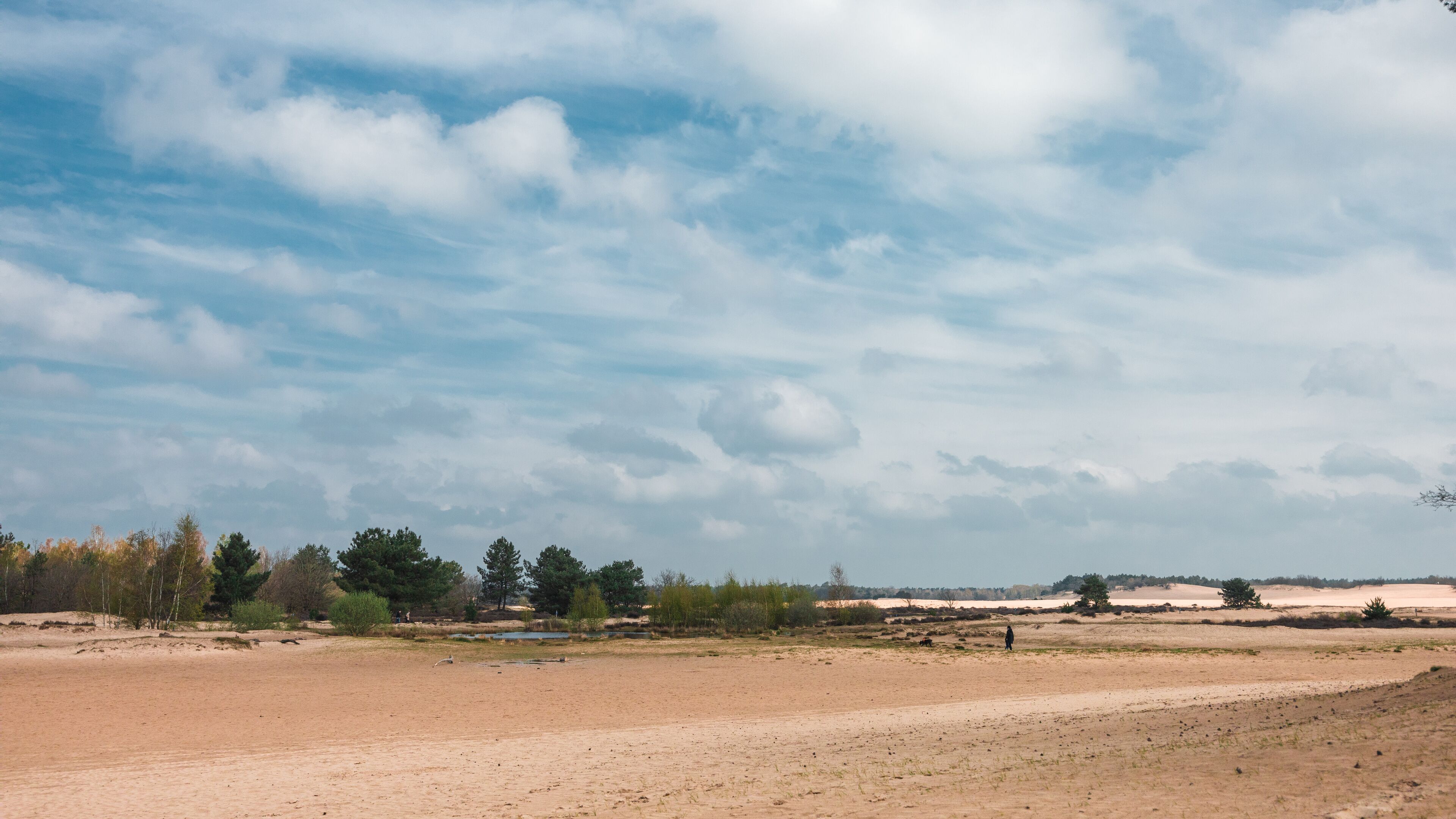 루프 오프 잰드