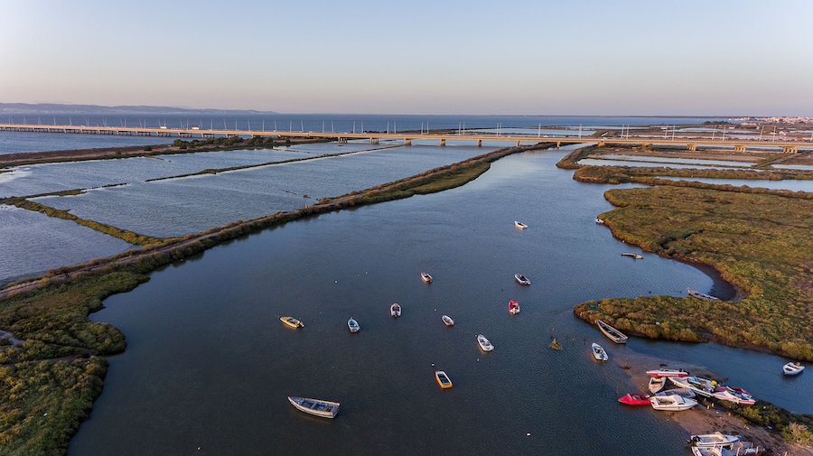 A river with boats, a bridge, and marshland.