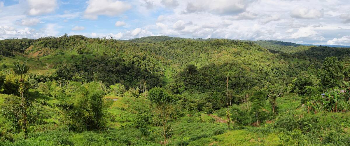A lush green landscape with rolling hills and dense vegetation.