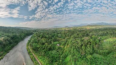 A river winding through a dense forest with scattered buildings.